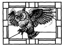 A coloring page of harry potter